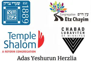 Synagogue logos montage