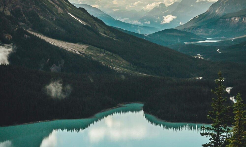 Canadian Travel Trends 2025 and the Forecast for 2026