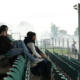 Soccer fans watching a live match on a phone in a stadium stand