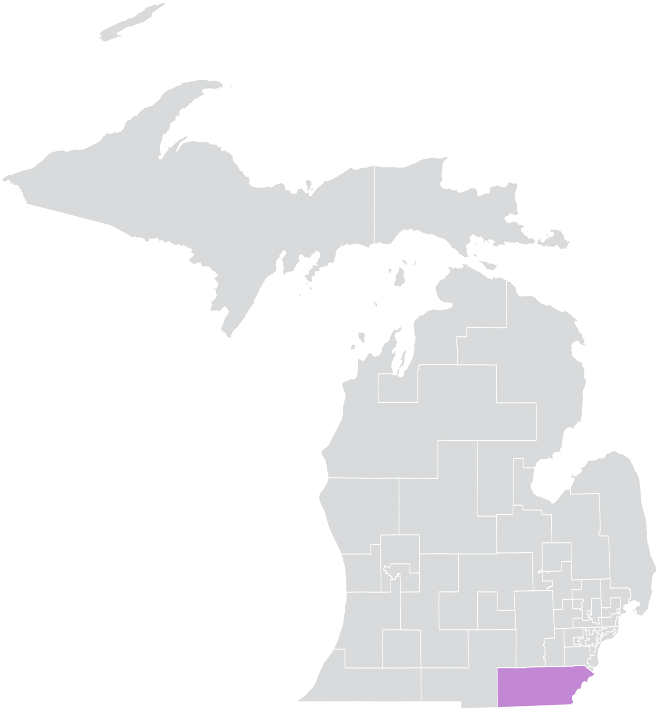 Michigan Senate Race Intensifies as Opponents Weaponize Muslim Brotherhood Claims Against Democrat El-Sayed