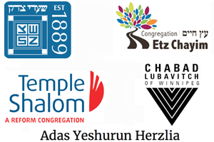 Synagogue logos montage